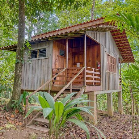 Selva Bananito Lodge Westfalia Zewnętrze zdjęcie