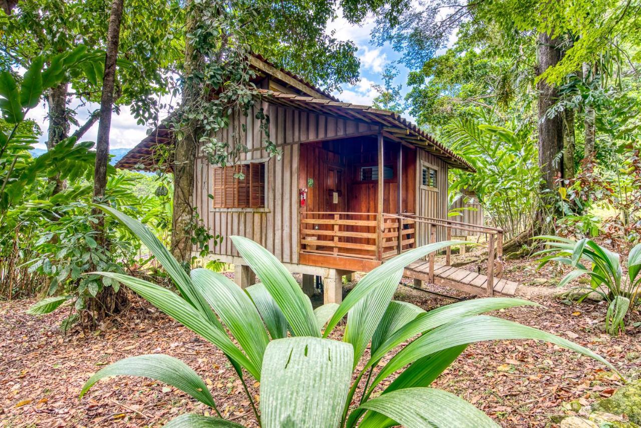 Selva Bananito Lodge Westfalia Zewnętrze zdjęcie