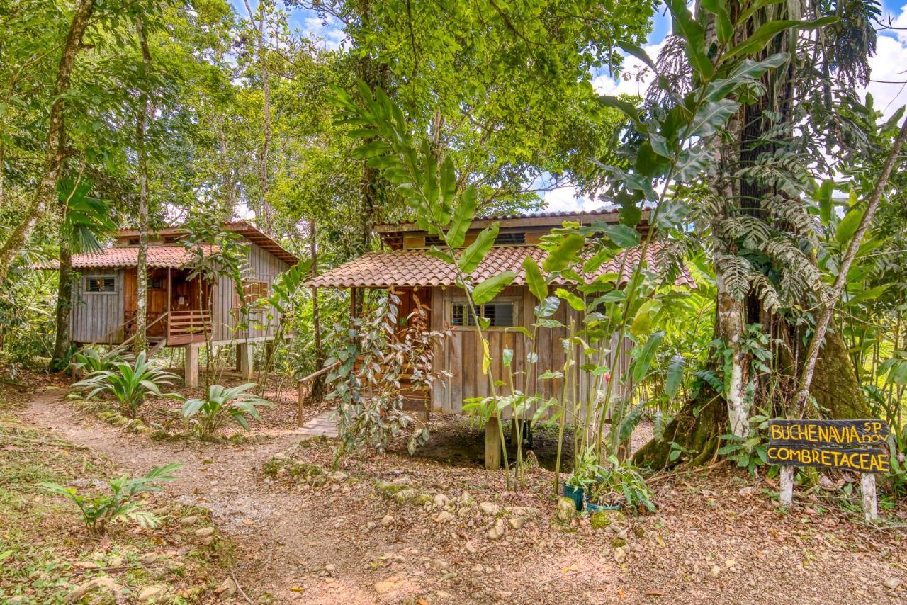 Selva Bananito Lodge Westfalia Zewnętrze zdjęcie