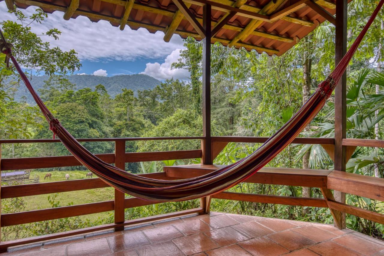Selva Bananito Lodge Westfalia Zewnętrze zdjęcie
