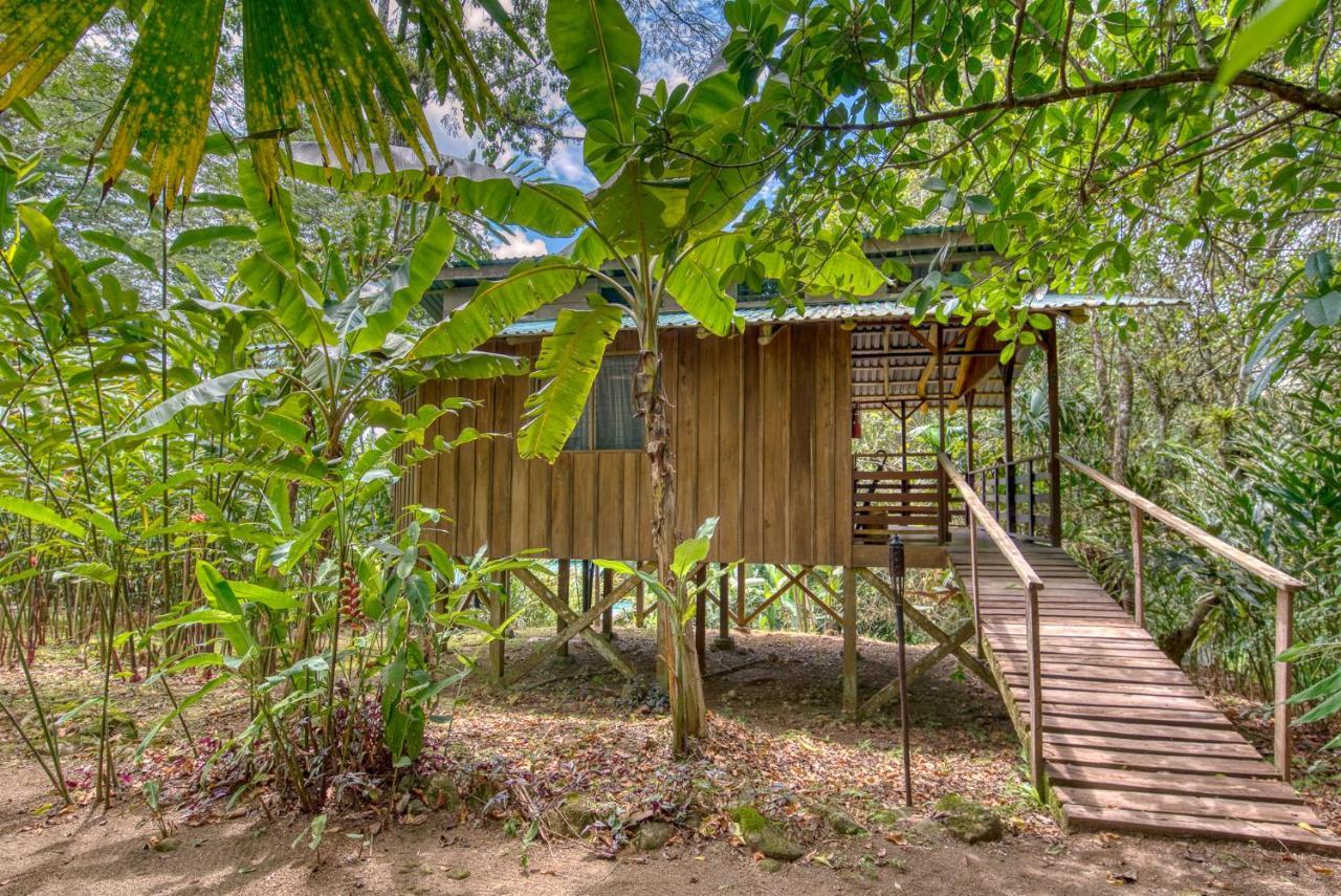 Selva Bananito Lodge Westfalia Zewnętrze zdjęcie