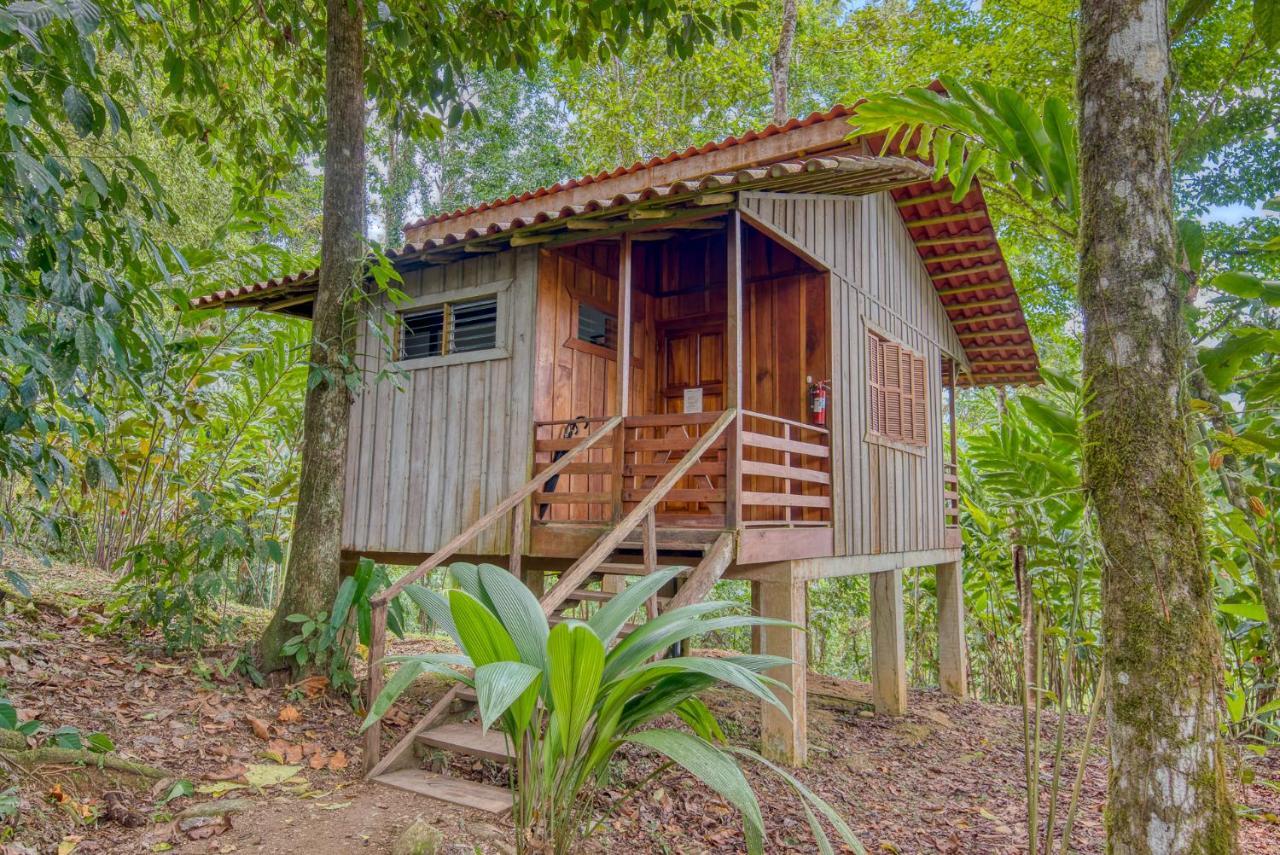 Selva Bananito Lodge Westfalia Zewnętrze zdjęcie