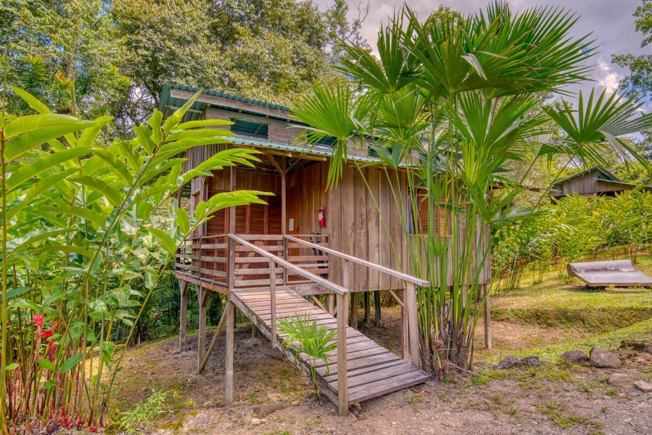 Selva Bananito Lodge Westfalia Zewnętrze zdjęcie