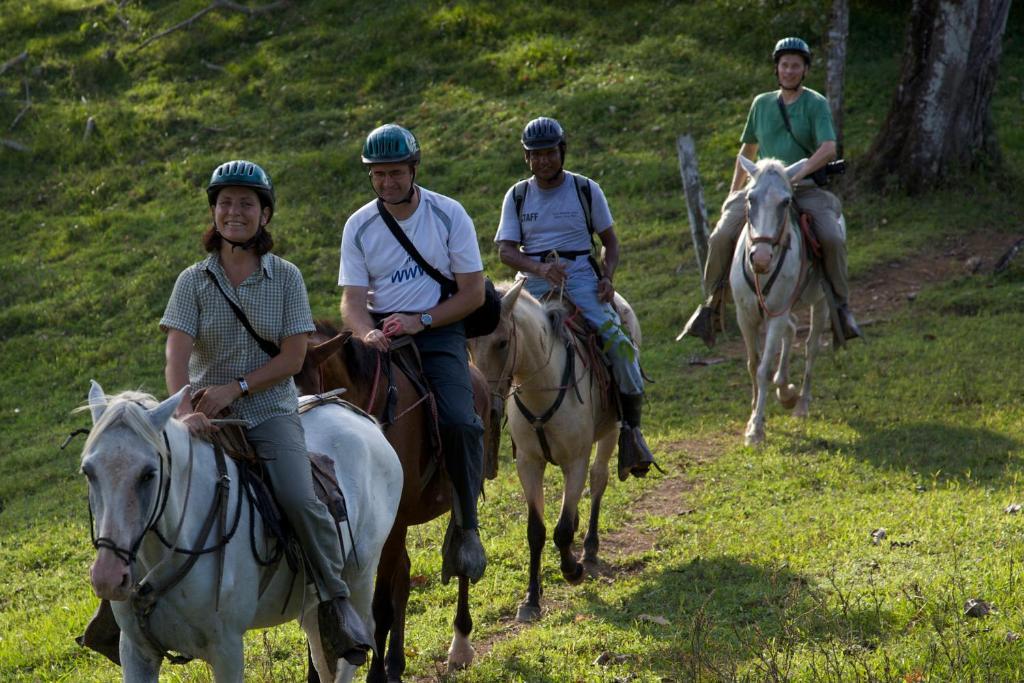 Selva Bananito Lodge Westfalia Zewnętrze zdjęcie