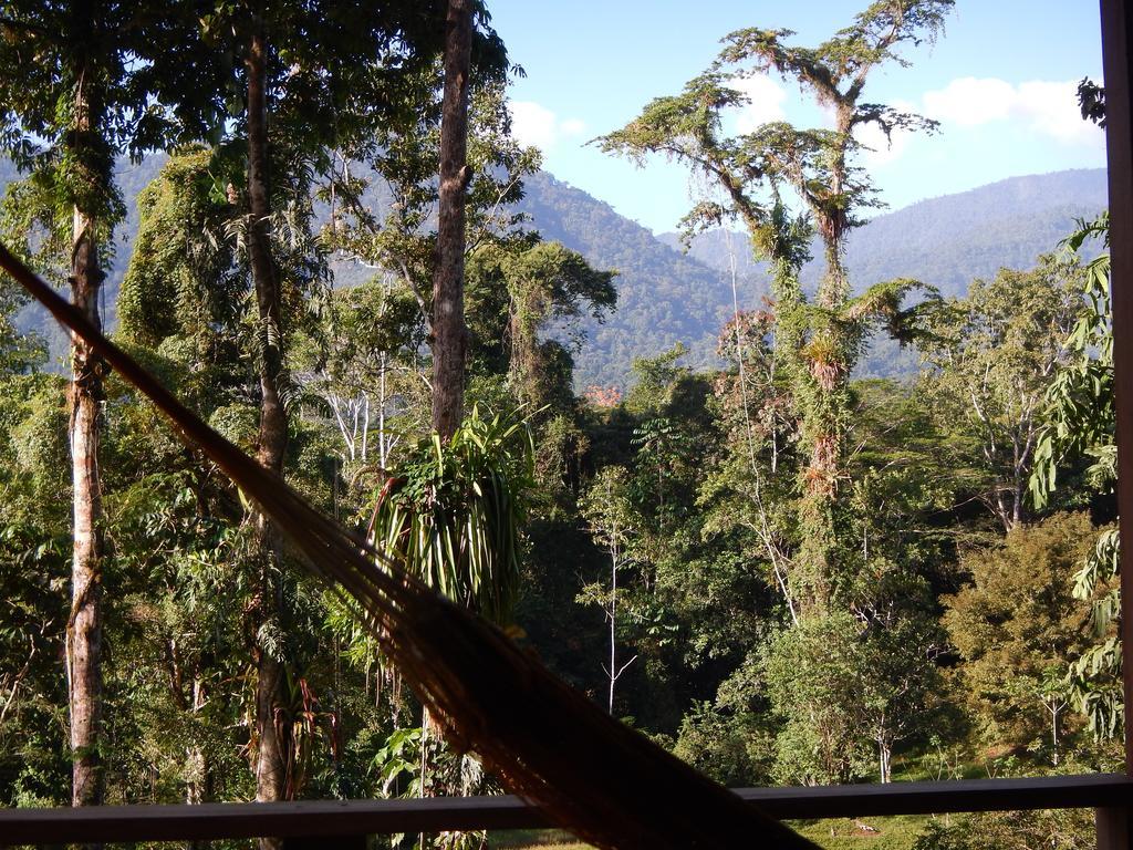 Selva Bananito Lodge Westfalia Pokój zdjęcie